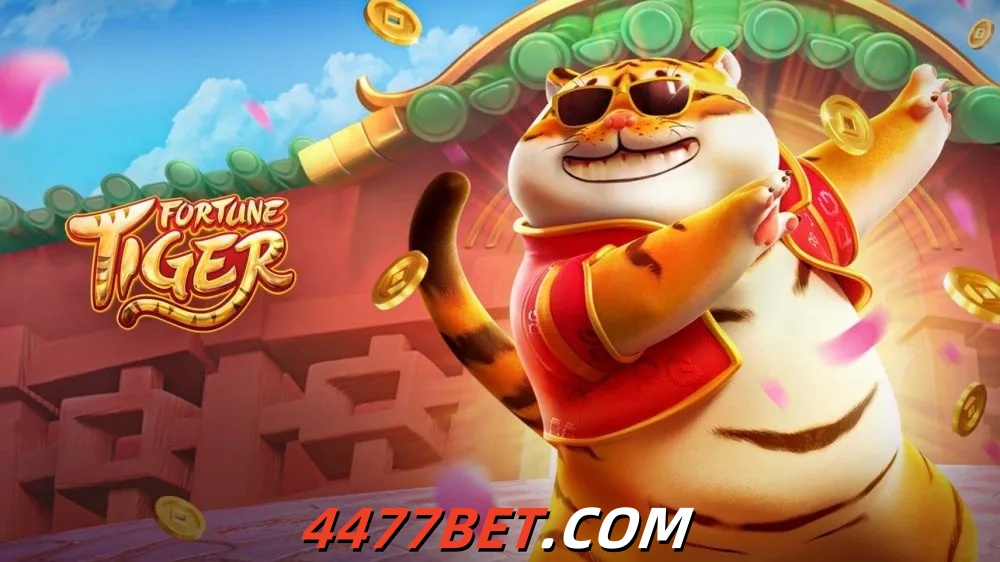  4477bet